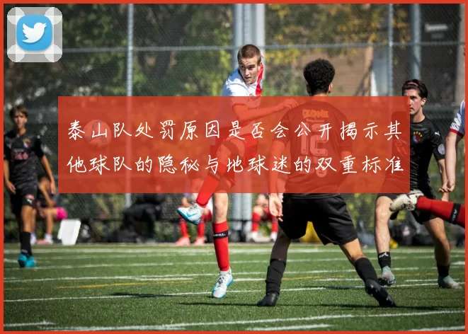 泰山队处罚原因是否会公开揭示其他球队的隐秘与地球迷的双重标准