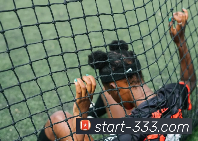 333体育平台生态图