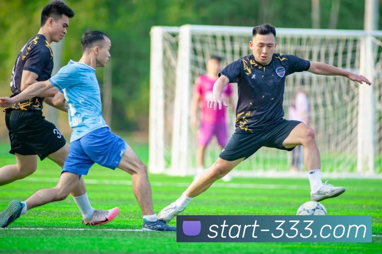 333体育APP 封面图